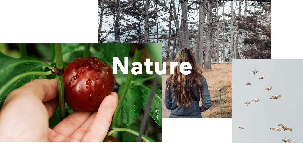 Nature related images